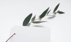 Featured image of post Note